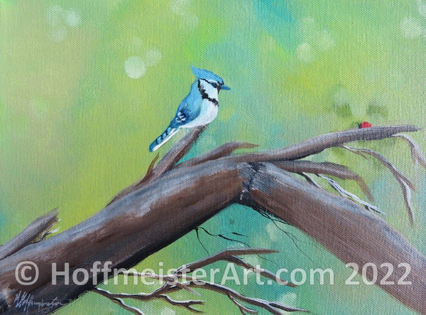 "Blue Jay Broken Limb" Original Painting