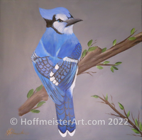 "Blue Jay" Original Painting