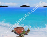 "Turtle Beach" Original Painting