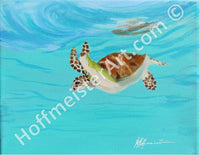 "Turtle Caribbean Sea" Original Painting